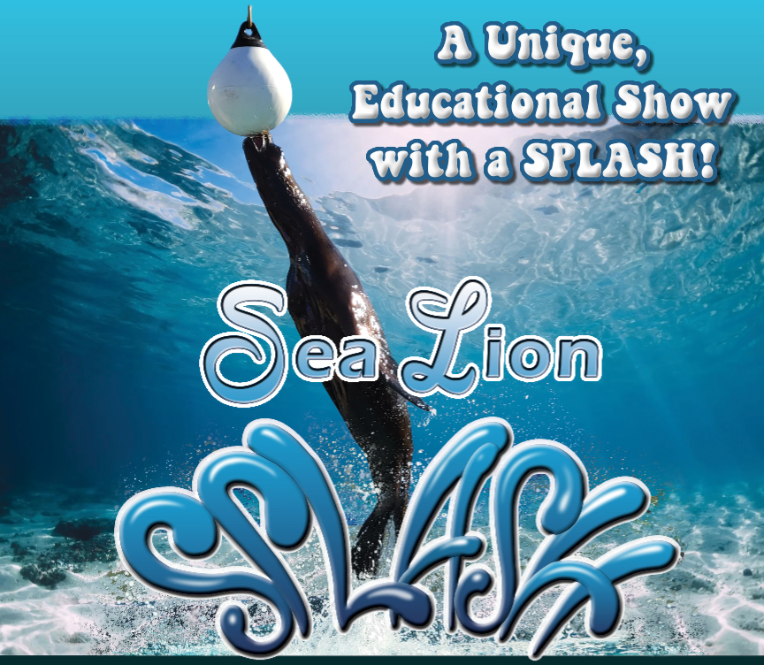 Seals Lion logo-idea2