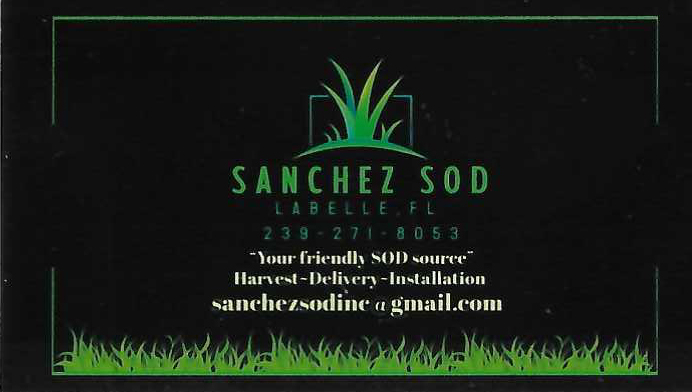 Sanchez Sod